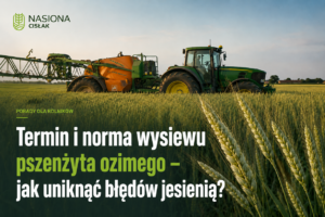 termin-i-norma-wysiewu-pszenzyta-ozimego